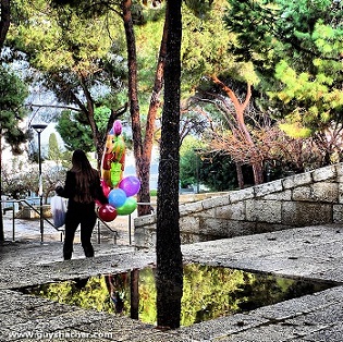 Все оттенки зелёного...