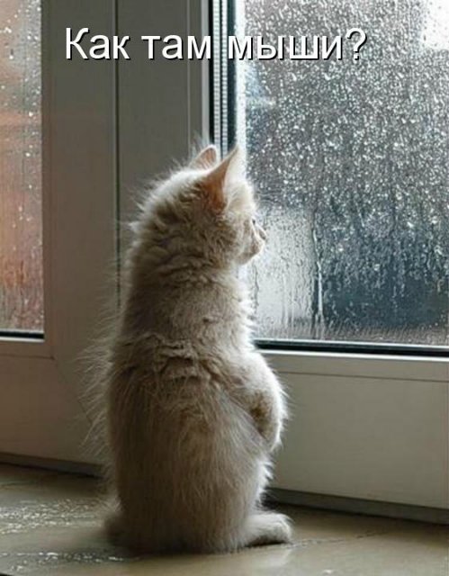 ожидание музы