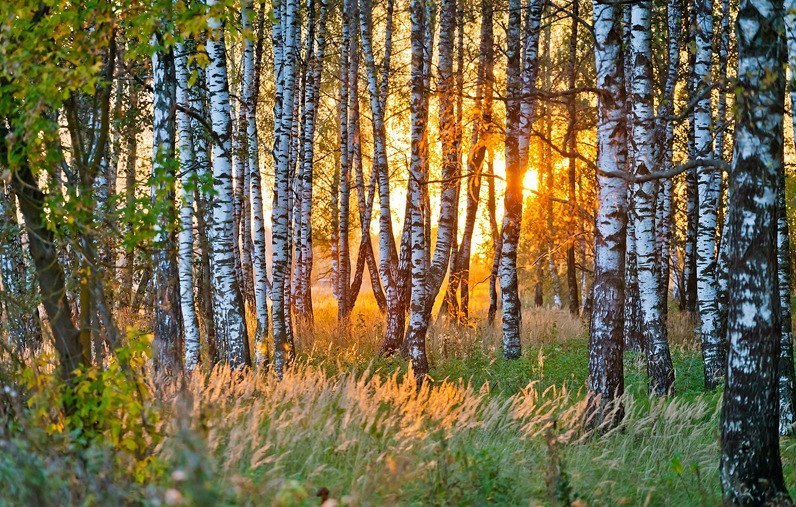 Я уйду на рассвете...