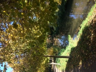 Красочная осень