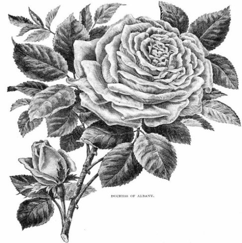 Зима. а завтра весна