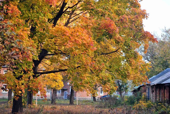 Заоктябрило...