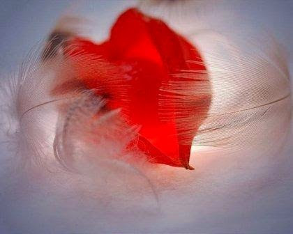 Любовь ли это?