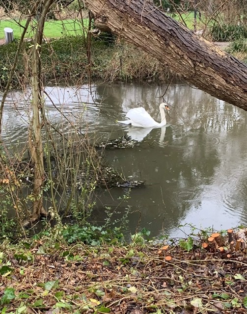 Жизнь мимо не проходит