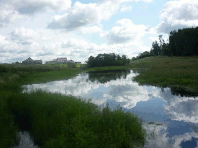 Вдохновение утра