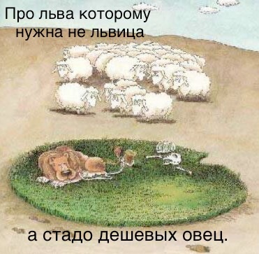 Притча про льва. Лев среди овец. Притча Лев среди овец. Лев в стаде овец. Притча о Льве в стаде овец.