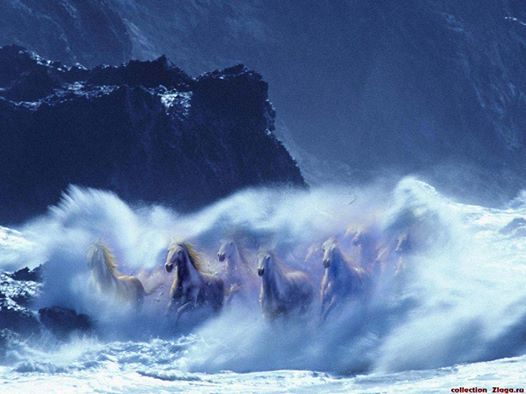 Ну какой я свет