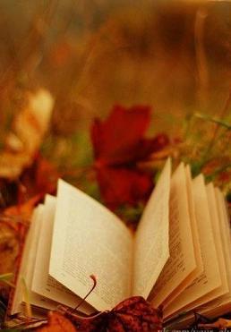 Осенний бестселлер