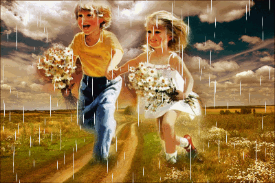 Ромашковое поле