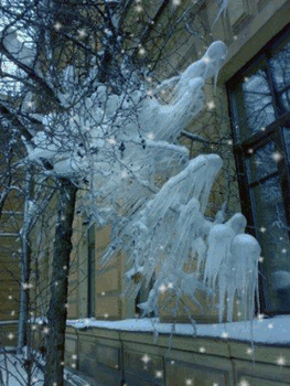 Взгляд из окна