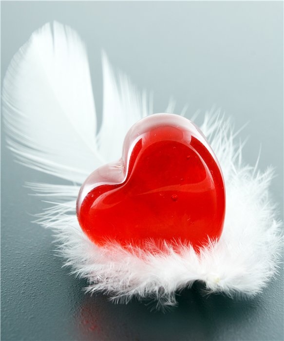 Разбитое сердце