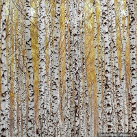 Одолеваем слабости свои