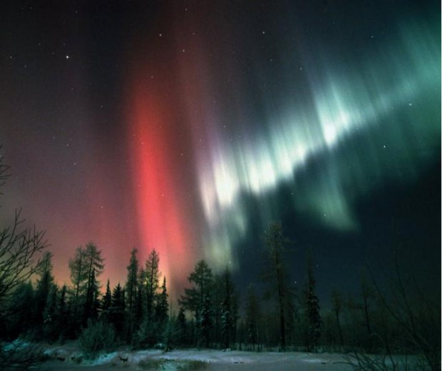 Художник, чьи шедевры вечны