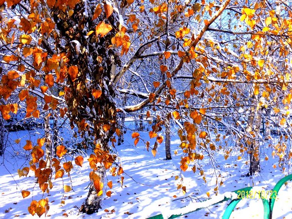 Гардероб природы