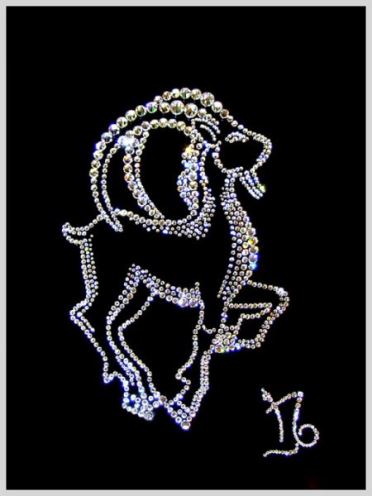 Козерог. Из цикла Знаки Зодиака