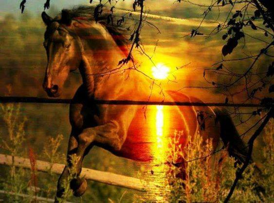 Ах, бабье лето!