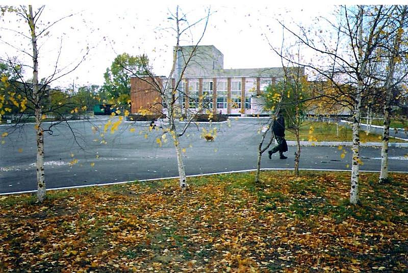 Листья на ветру