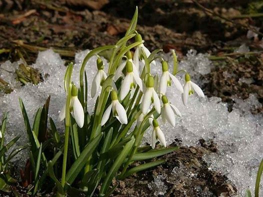 Хотя бы капельку тепла...