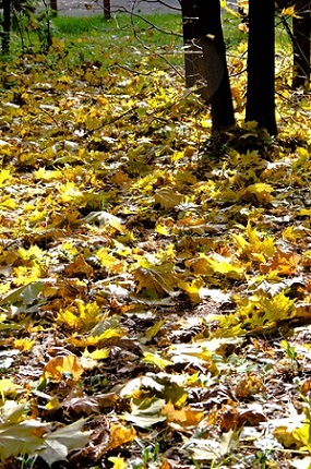 Природное рукоделие