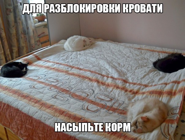 Чтобы освободить от котов кровать...