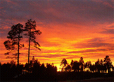 Раннее утро