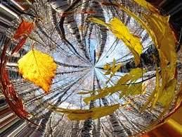 Ветер бродяга