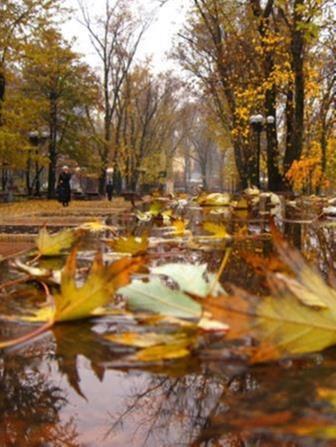 Середина Осени...