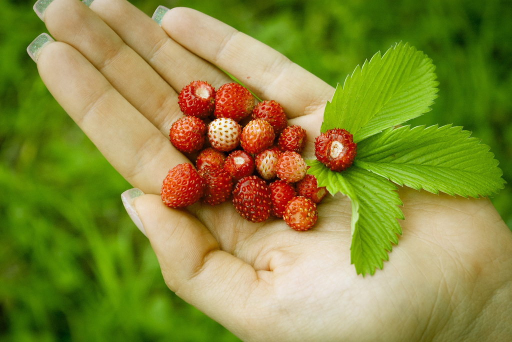 Эта наша любовь...