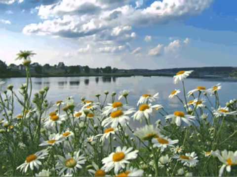 С годами всё как-будто гаснет