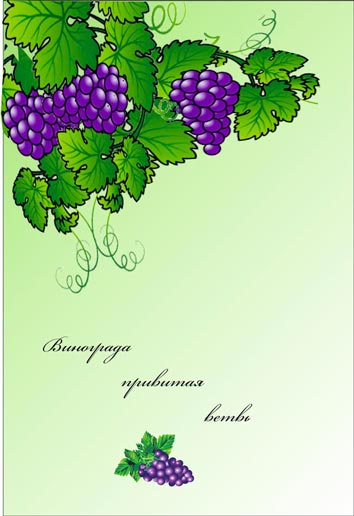 Винограда привитая ветвь