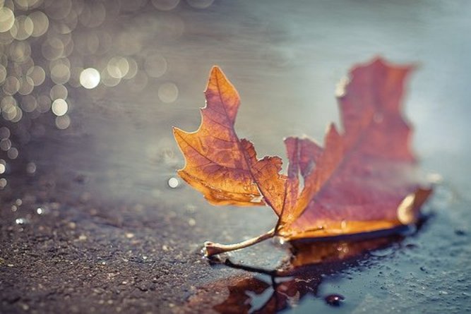 Какое страшное теперь число четыре