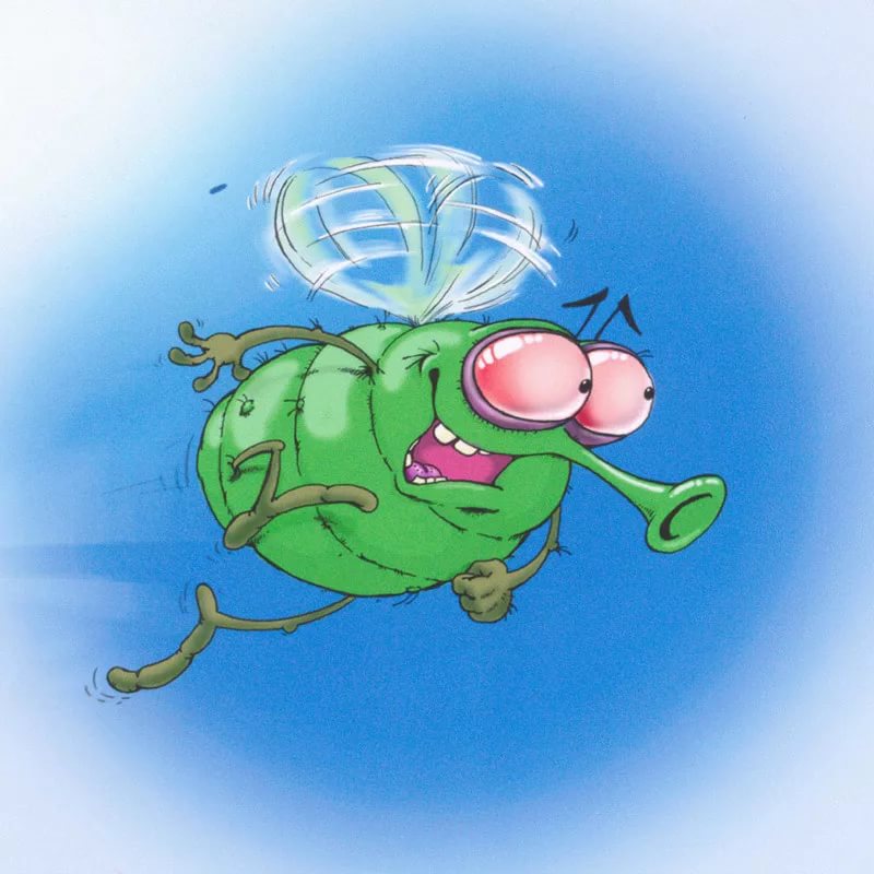 Последняя муха