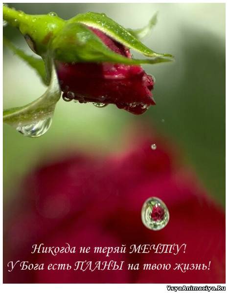 Полине Викторовне 2013г
