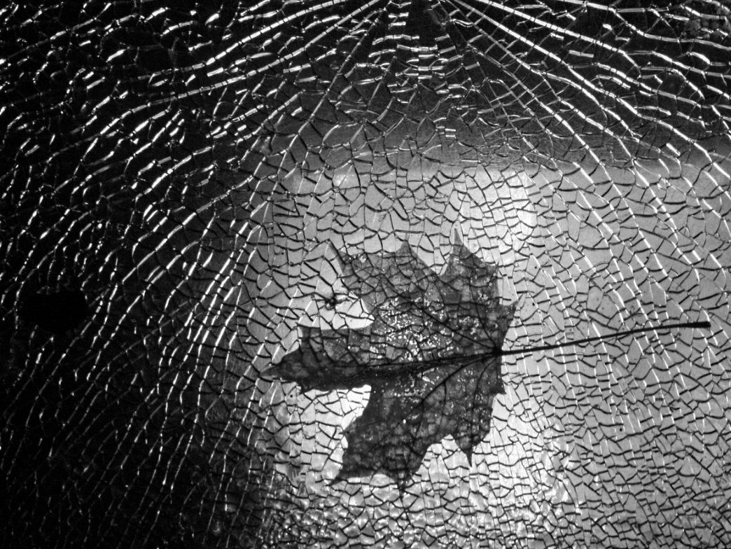 Лист на стекле