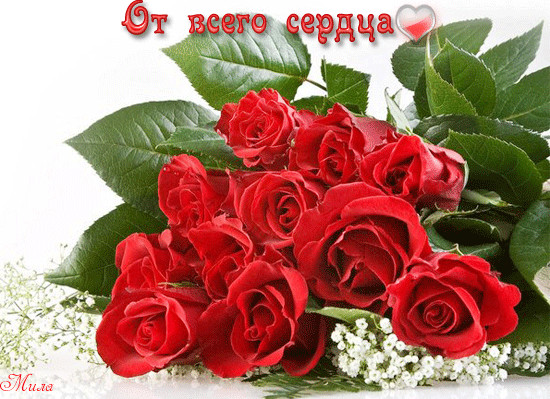 Алёне 2014г