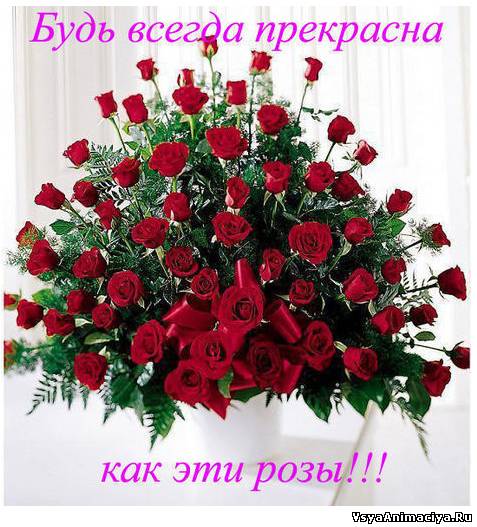 Полине Викторовне 2014г