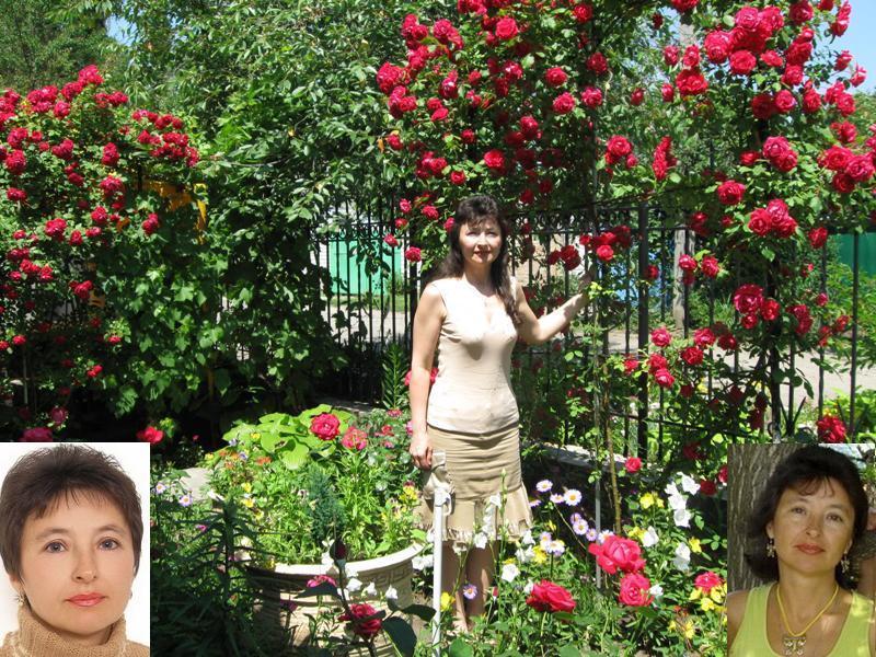 Ангел Света