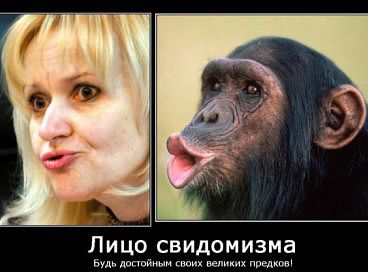 О Ирине Фарионн