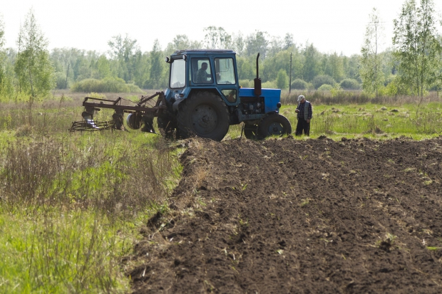 Здесь сторона моя
