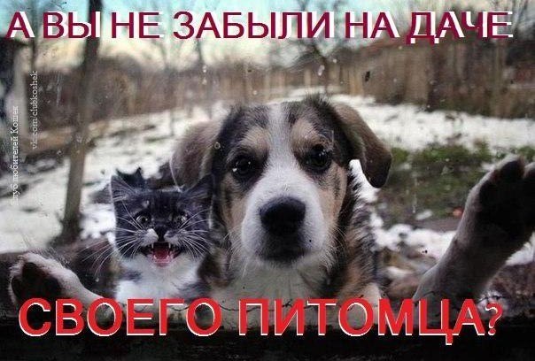 А у вас, как с памятью?