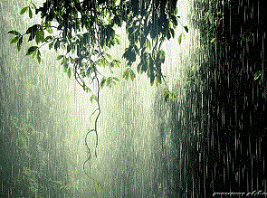 Песня дождя