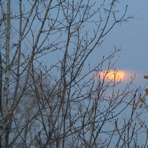 Утренний сон