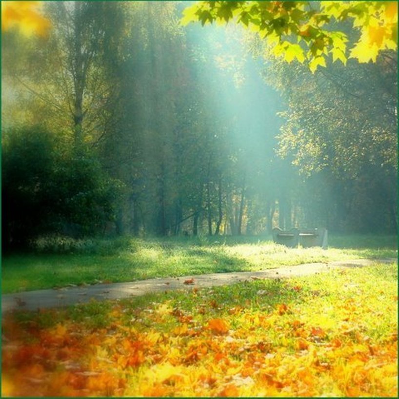 Будьте всегда лучезарны. Сентябрьское солнце. Солнечный день природа. Дождь в Солнечный день. Осень дождь.