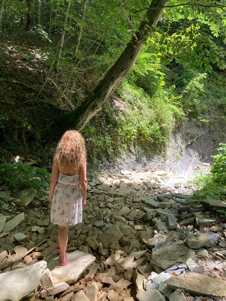 Полосатая жизнь...