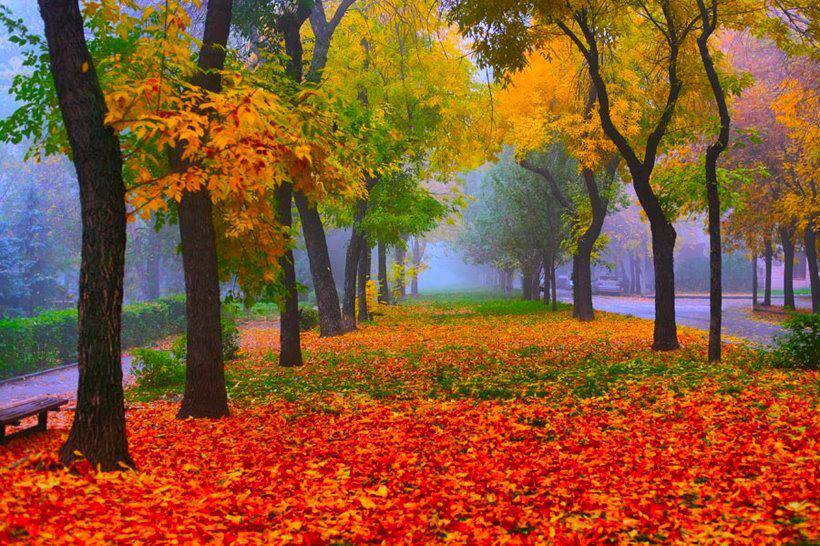 Радостно мне!