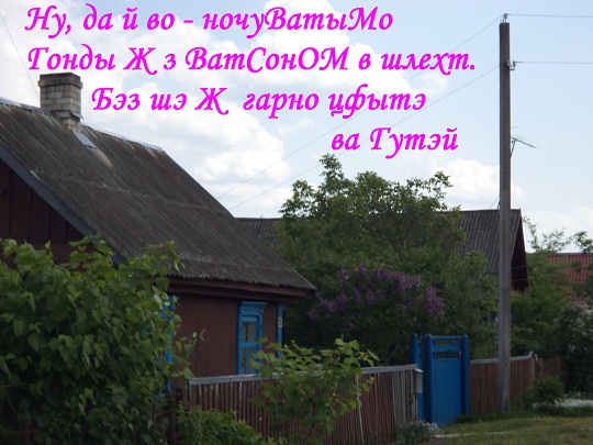 Доня гонды у Васечкы
