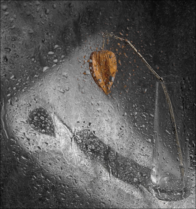 Цветы замерзли, город замело...