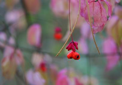 Неузнанным в придуманных мирах