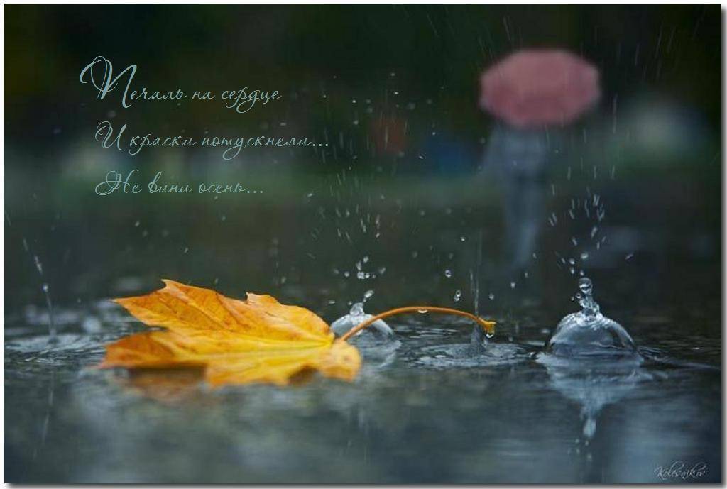 Осень, жена непослушная