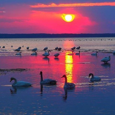 Небеса мои светлые...